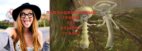 гидропоника Алексеевка