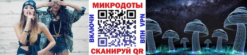 Купить закладки  Ялуторовск  Псилоцибиновые грибы мицелий 